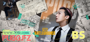 內(nèi)部BS輔助-「定制透視_算法自瞄_無后壓槍」